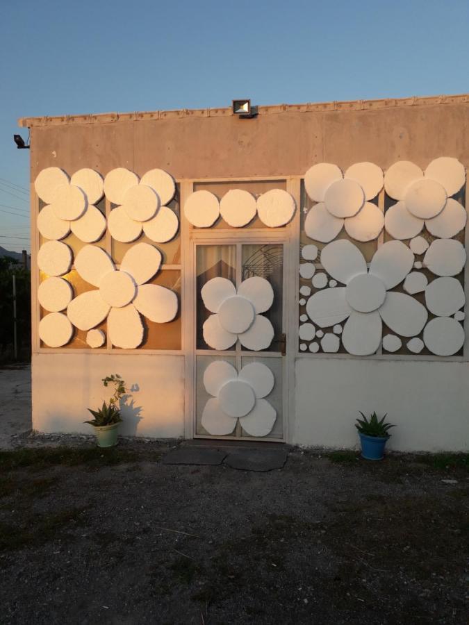 Anza Camping Shkoder Ngoại thất bức ảnh